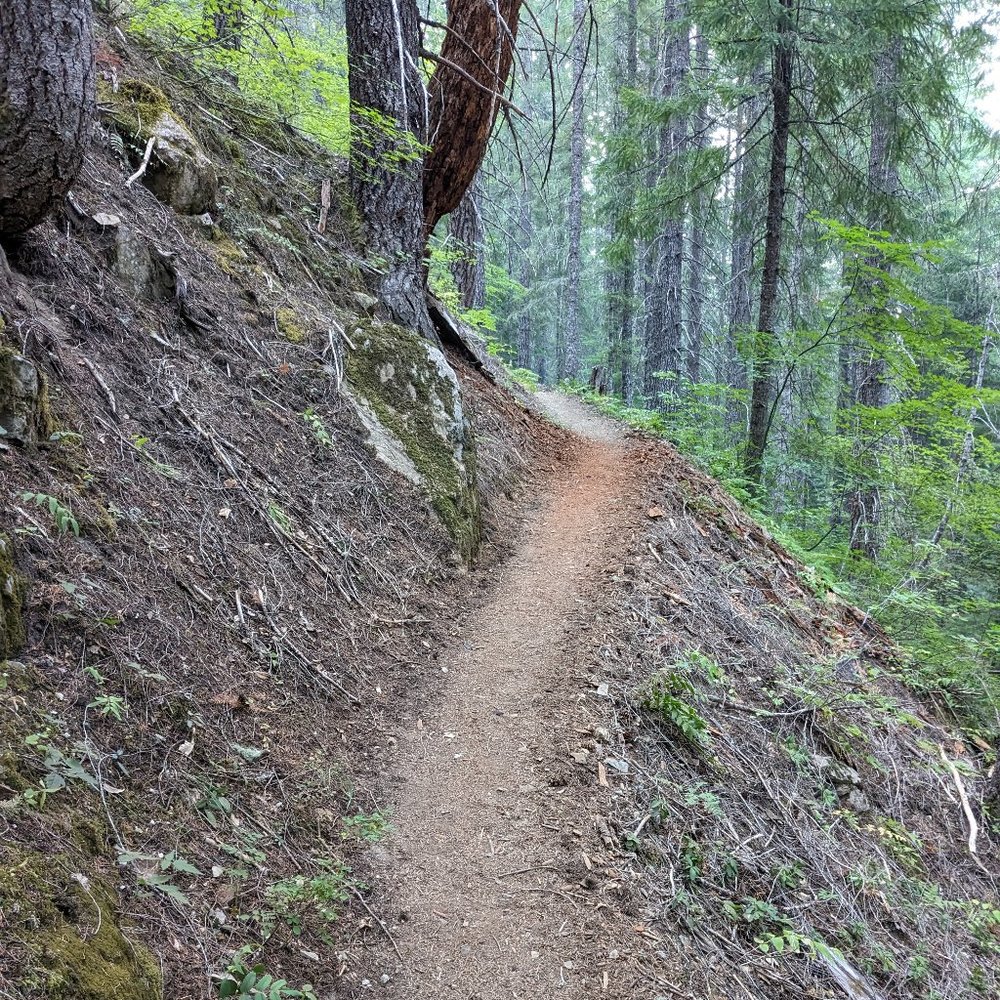 Meet your Posher, Kyle